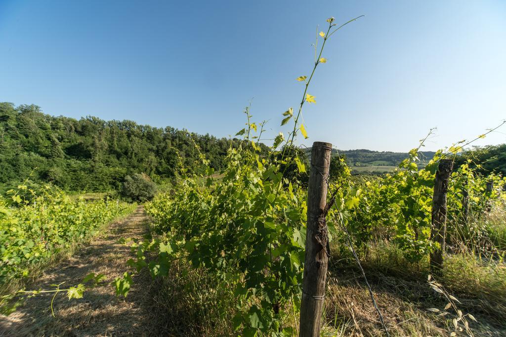B&B Le Dimore Mezza Costa San Casciano in Val di Pesa Extérieur photo